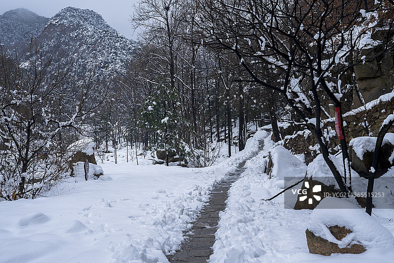 山寺雪景，玉泉寺春雪图片素材