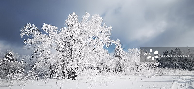 故乡的雪图片素材