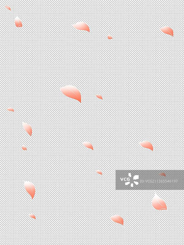 飘落的花瓣图片素材