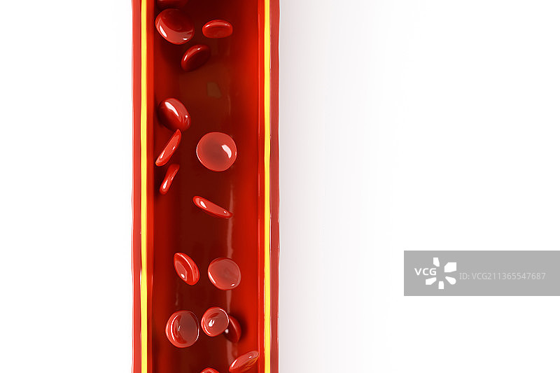 3D渲染的血管图片素材