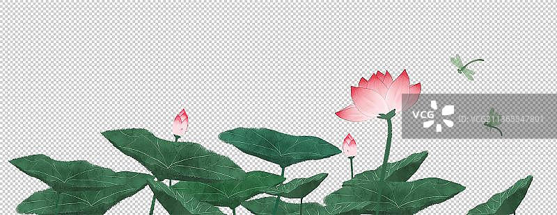 池塘荷花蜻蜓素材图片素材