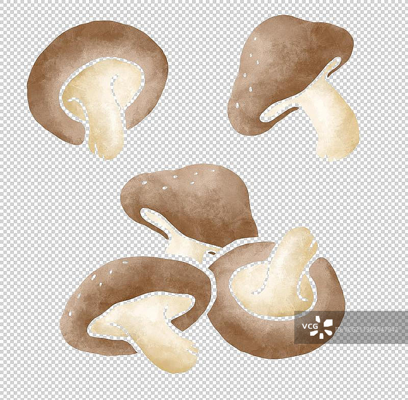 扁平水彩纹理香菇图片素材