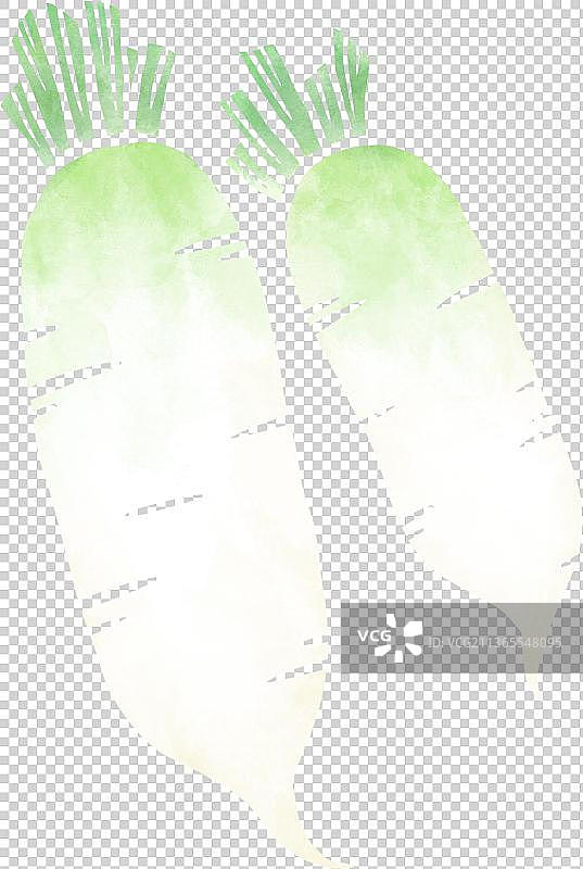 扁平水彩纹理白萝卜图片素材