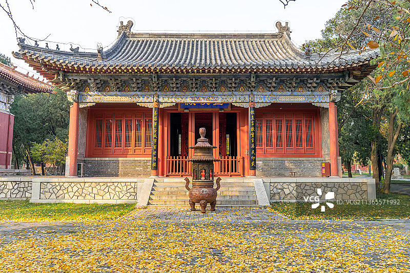 中国山东省泰安市泰山风景区著名旅游景点，行宫岱庙里的古典建筑宫殿和秋天地面上的金黄的银杏叶图片素材