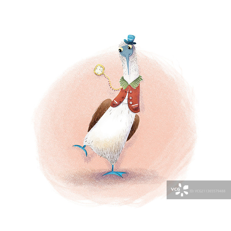 正在跑步的鸟图片素材