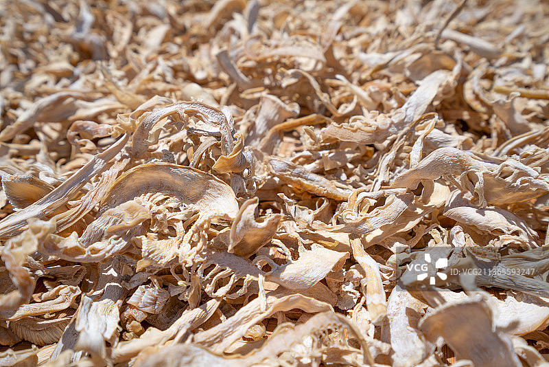 特写晒干的笋干图片素材