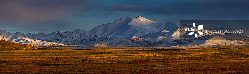 冬季卡尔墩草原图片素材