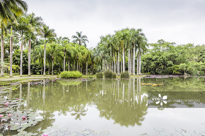 云南西双版纳中国科学院西双版纳热带植物园图片素材