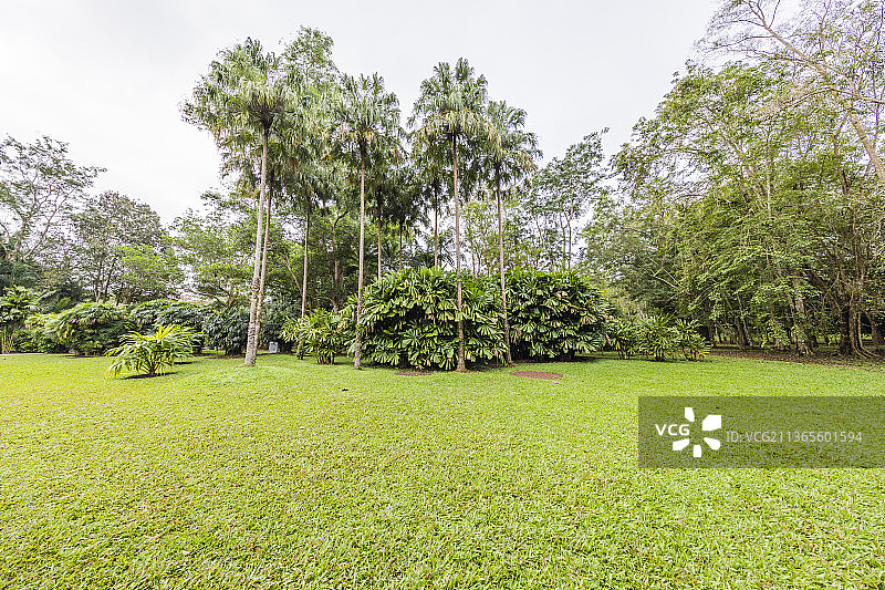 云南西双版纳中国科学院西双版纳热带植物园图片素材