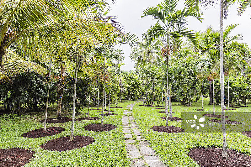 云南西双版纳中国科学院西双版纳热带植物园图片素材