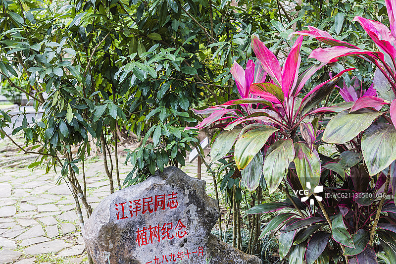 云南西双版纳中国科学院西双版纳热带植物园图片素材