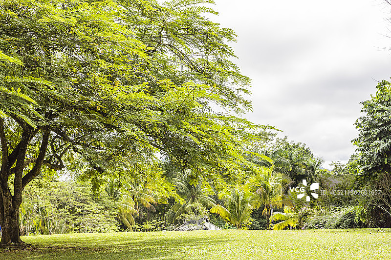云南西双版纳中国科学院西双版纳热带植物园图片素材