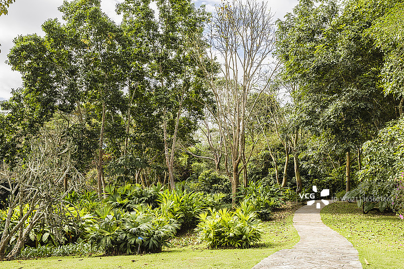 云南西双版纳中国科学院西双版纳热带植物园图片素材