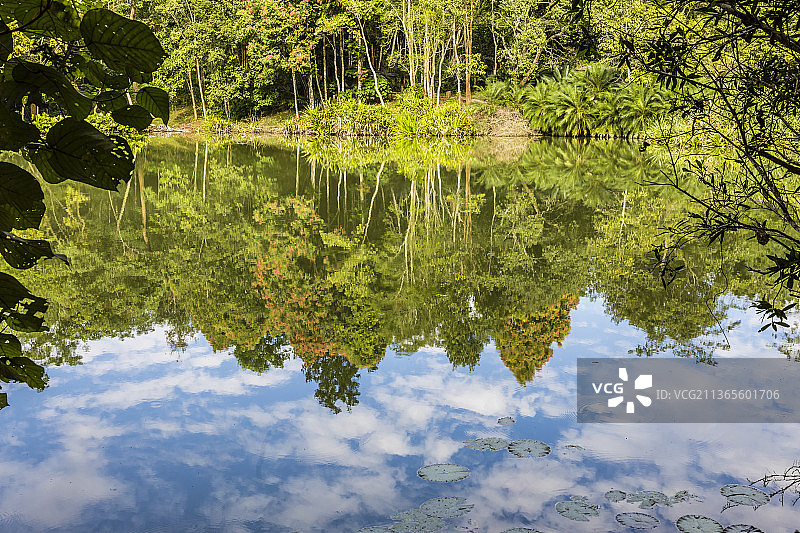云南西双版纳中国科学院西双版纳热带植物园图片素材