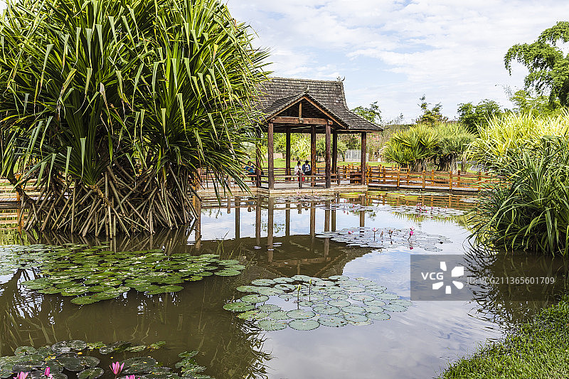 云南西双版纳中国科学院西双版纳热带植物园图片素材