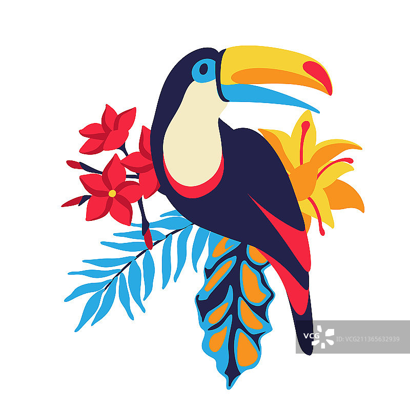 巨嘴鸟与热带植物图片素材