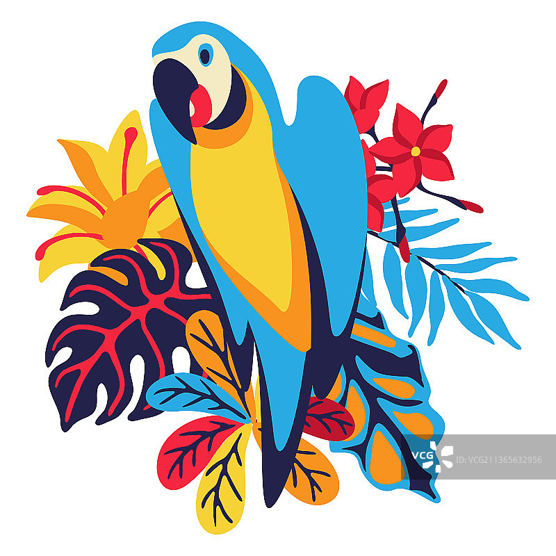 金刚鹦鹉与热带植物图片素材