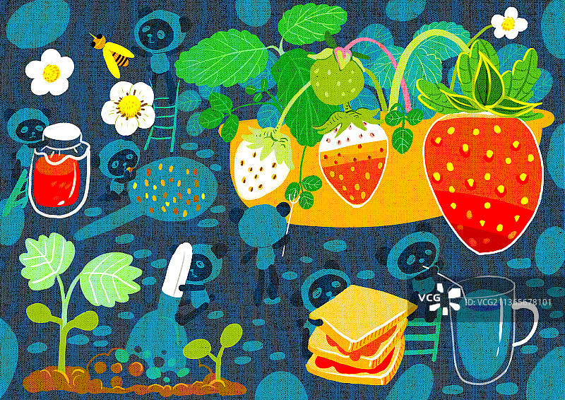 植物的生长过程——草莓与熊猫图片素材