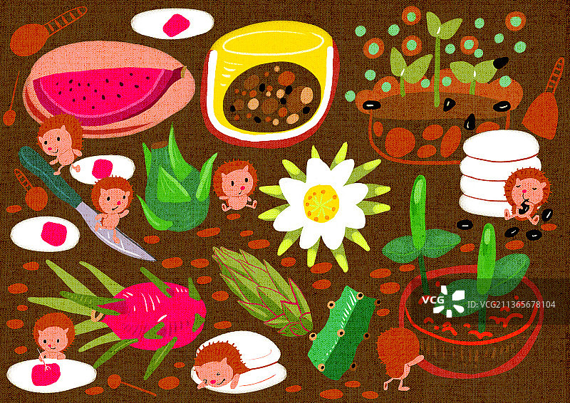 植物的生长过程——火龙果与刺猬图片素材