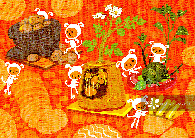 植物的生长过程——土豆与狗狗图片素材