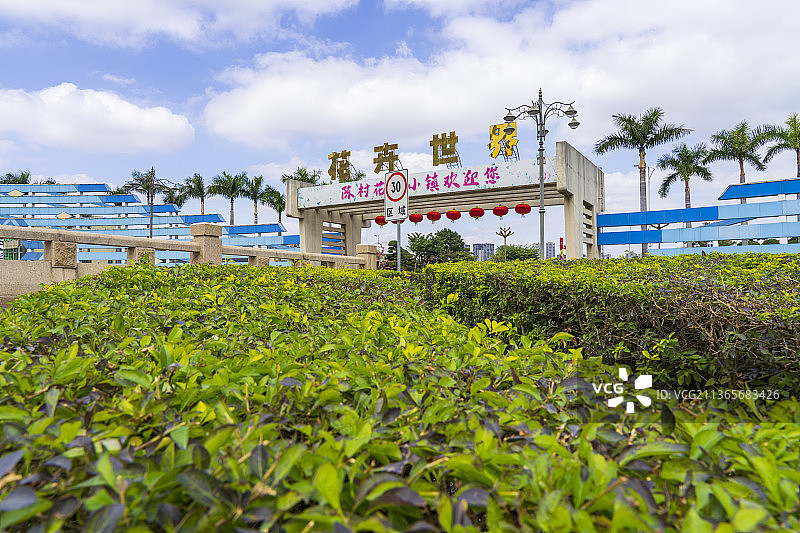 陈村花卉世界图片素材