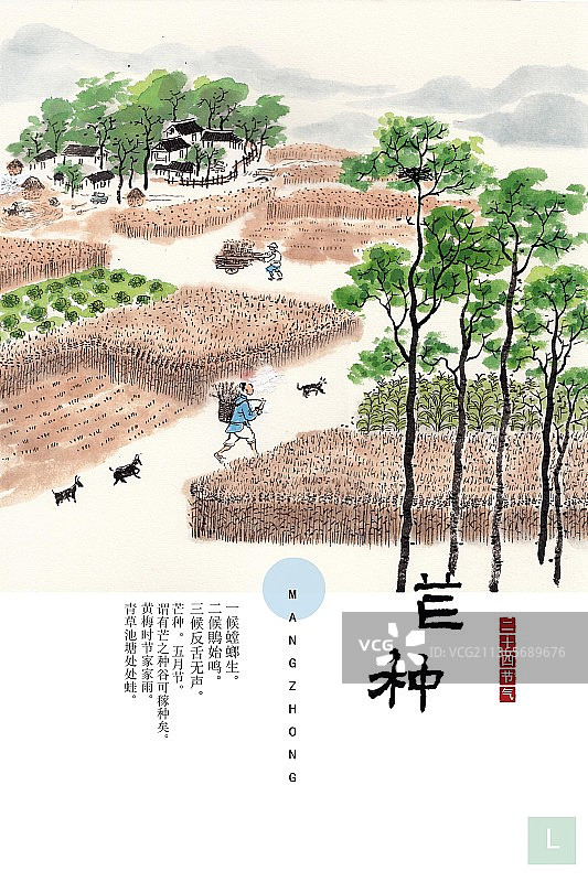 水墨二十四节气插画海报芒种图片素材