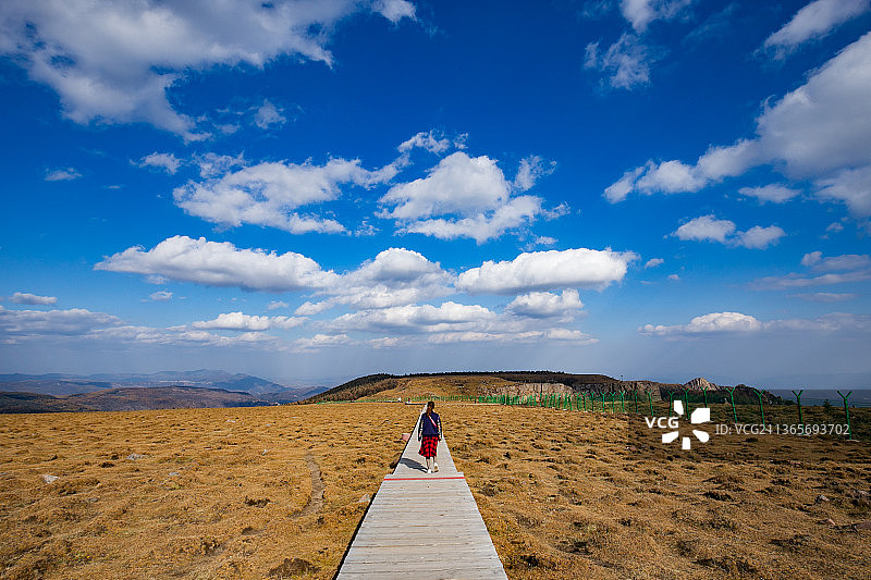 芦芽山之秋9图片素材