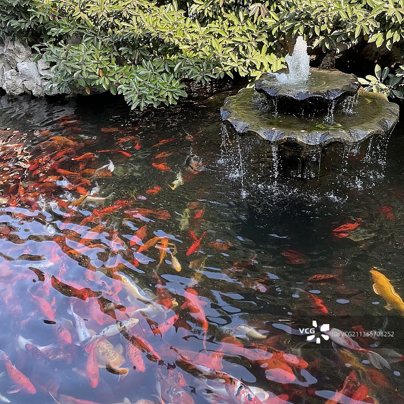 真如寺图片素材