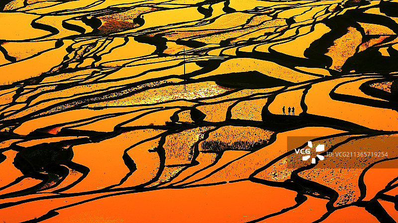 霞染梯田映三友图片素材