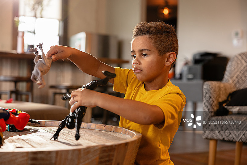 男孩玩恐龙玩具图片素材