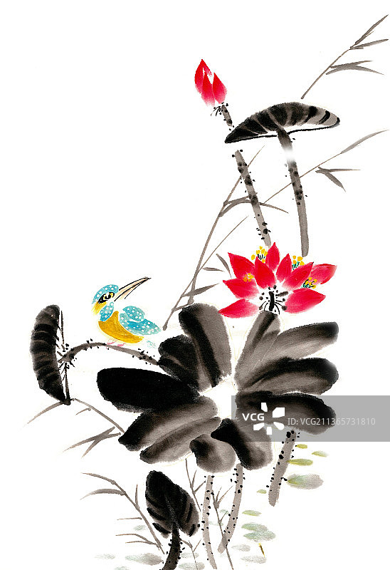 荷花与翠鸟图片素材