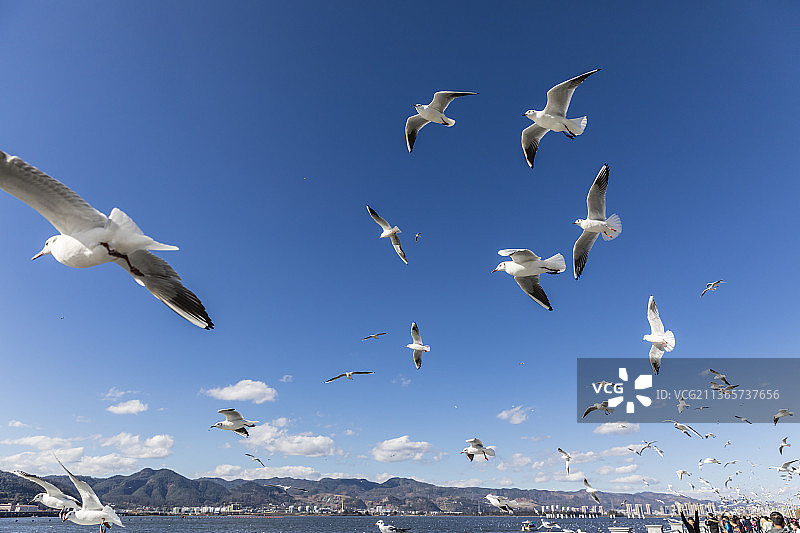 云南昆明滇池海埂大坝图片素材