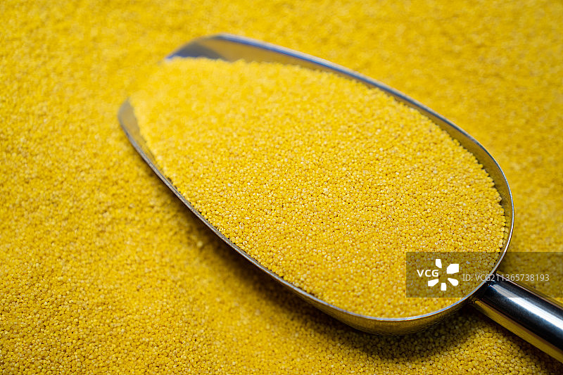 黄小米图片素材