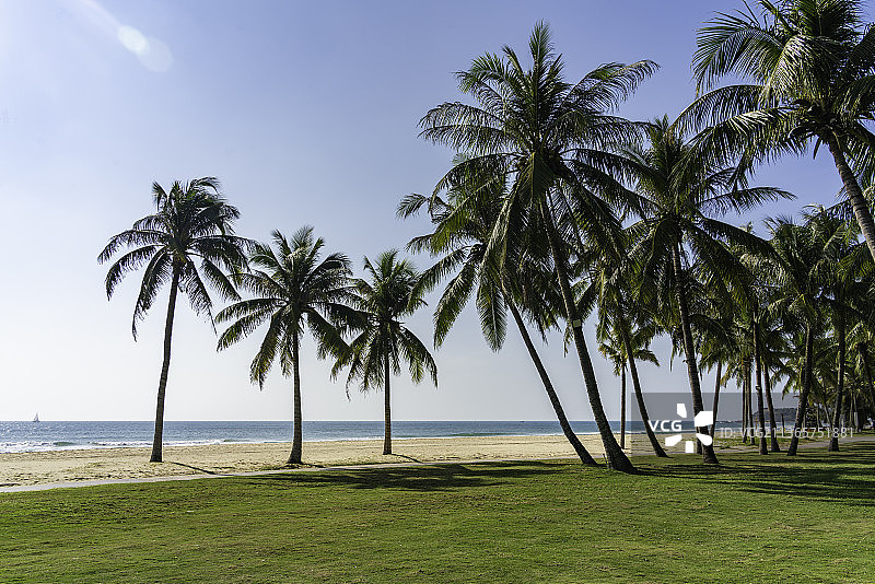 中国海南省三亚市度假胜地清水湾的沙滩椰林和草地图片素材