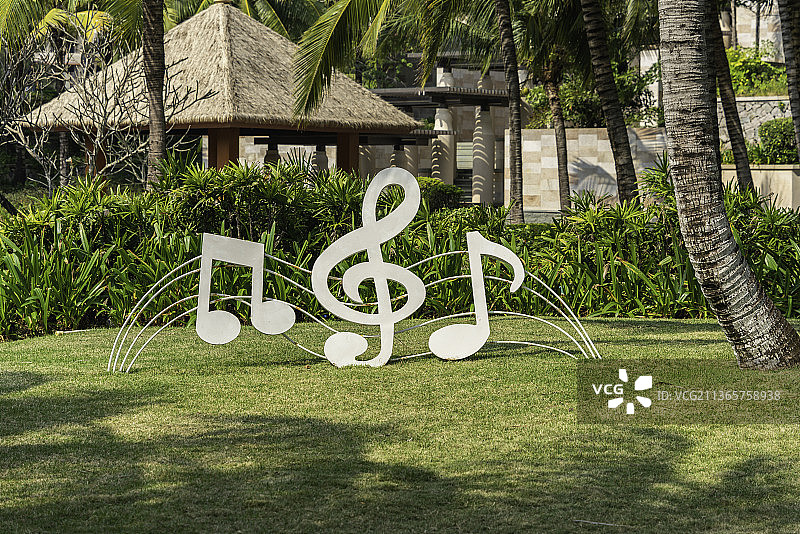 中国海南省三亚市海边的椰林和草地图片素材