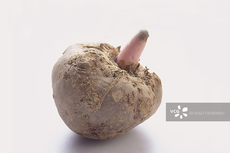 新鲜的魔芋,蒟蒻图片素材