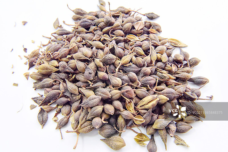 中草药中药加工传统中药材连翘图片素材