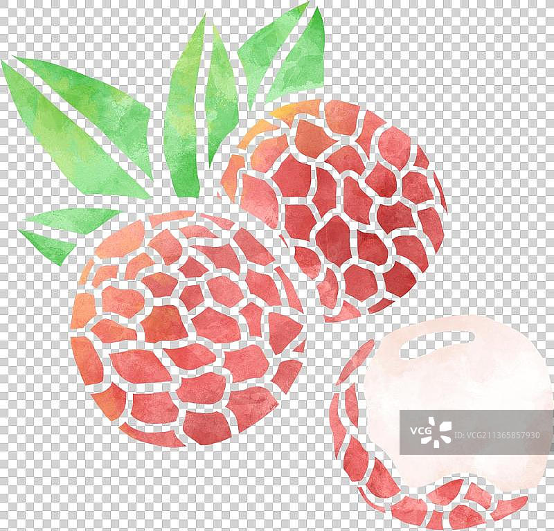 扁平手绘水彩纹理荔枝图片素材