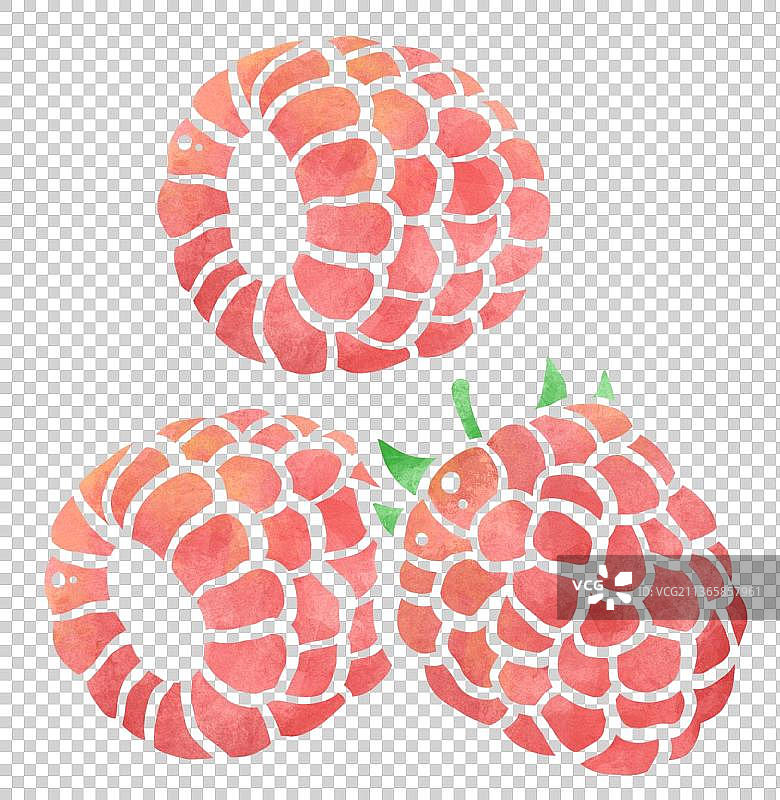 扁平手绘水彩纹理覆盆子图片素材