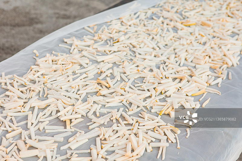 晒在地上的萝卜干图片素材