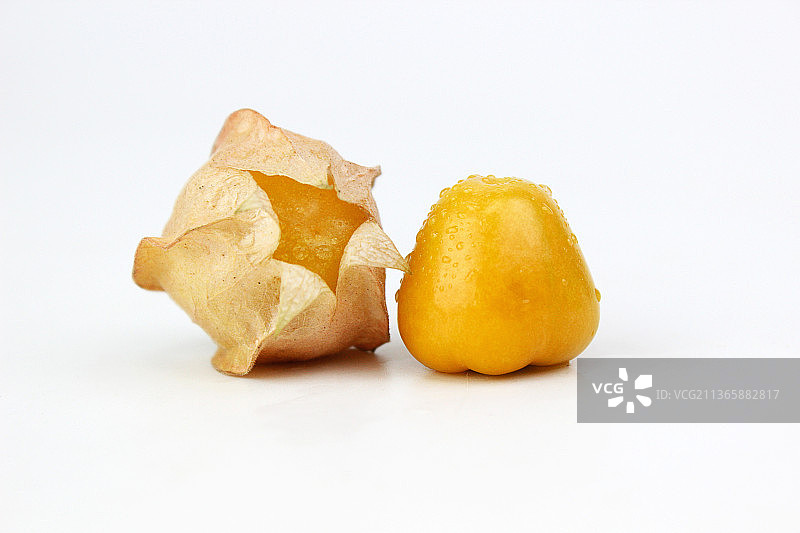 灯笼果 姑娘果图片素材