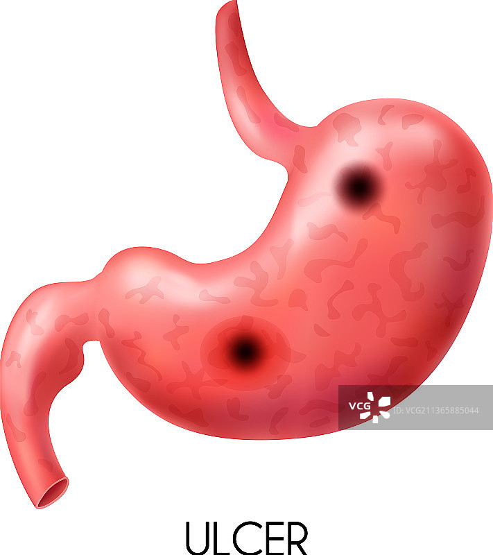 写实风格的腹部图片素材