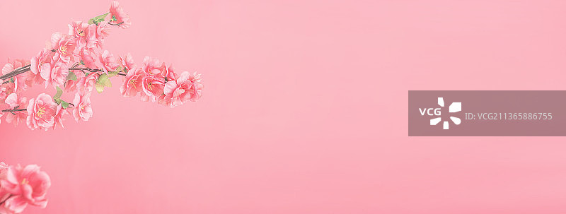 浪漫桃花时尚海报背景图片素材