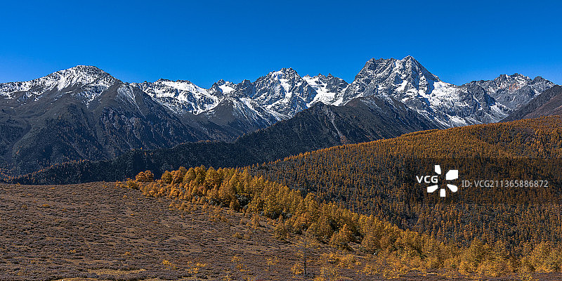 白马雪山图片素材