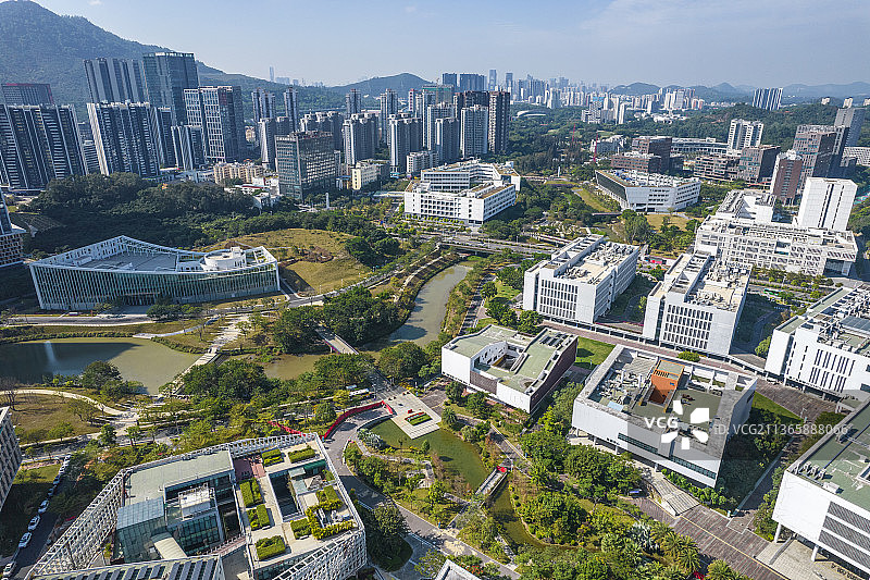 深圳大学城 深圳西丽大学城 南方科技大学  深圳城市风光 大学校园图片素材