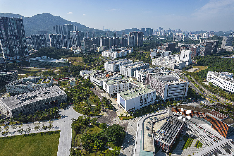 深圳大学城 深圳西丽大学城 南方科技大学  深圳城市风光 大学校园图片素材