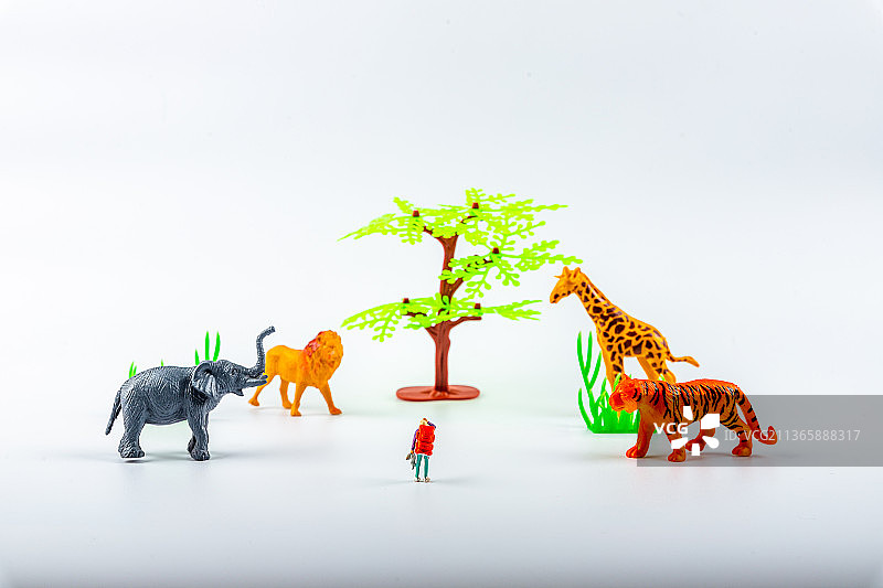 丛林探险图片素材