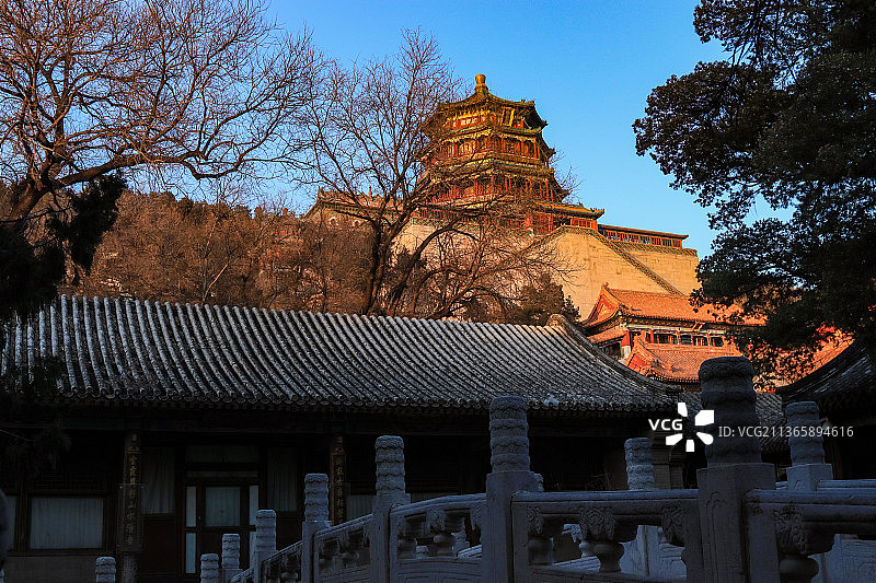 冬季颐和园之清华轩观佛香阁图片素材