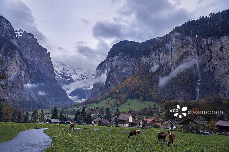因特拉肯的秋色图片素材