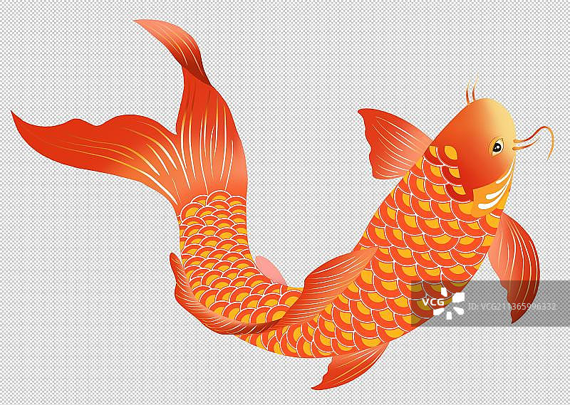 鲤鱼插画元素图片素材